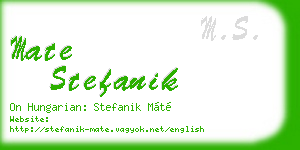 mate stefanik business card