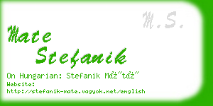 mate stefanik business card